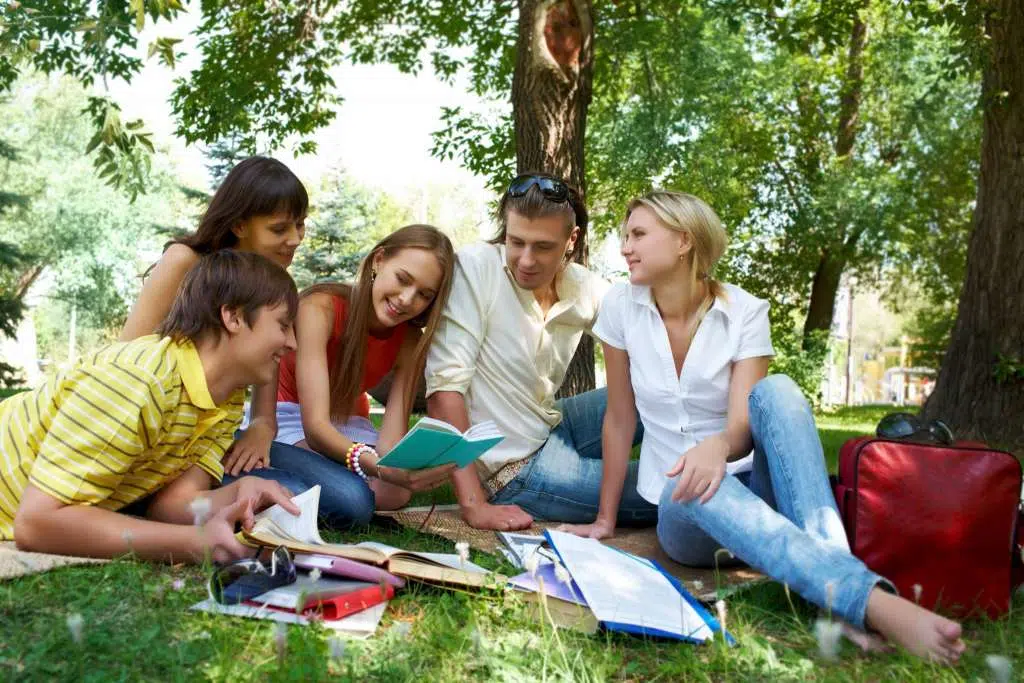 students working together at natural park